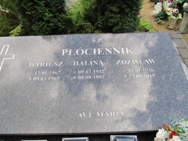 Dariusz Płóciennik 1967 Bogdaniec - Grobonet - Wyszukiwarka osób pochowanych