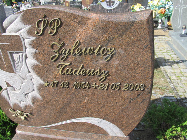 Tadeusz Żylewicz 1954 Bogdaniec - Grobonet - Wyszukiwarka osób pochowanych